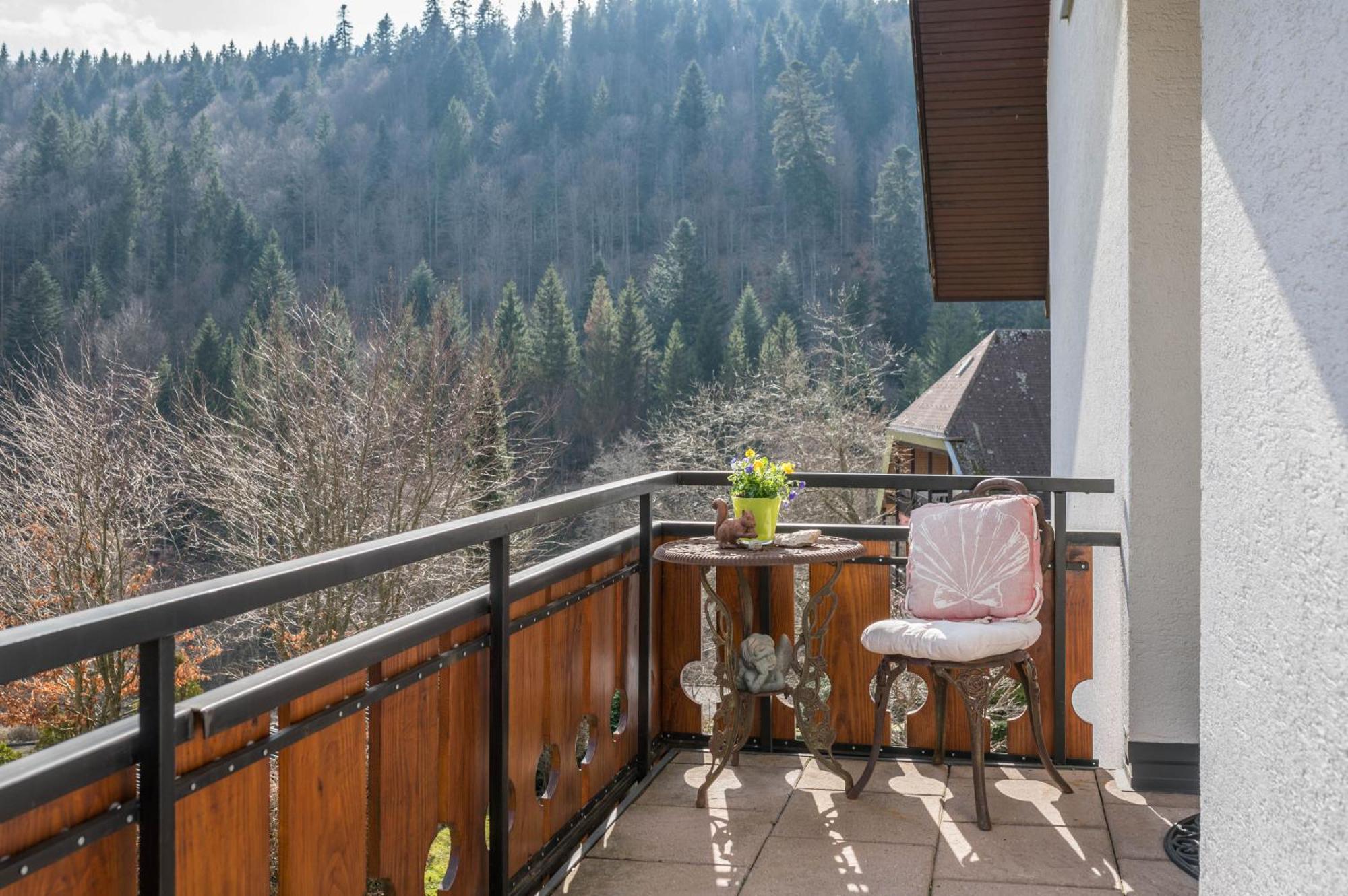 Apartmán Haus Akelei Todtmoos Exteriér fotografie