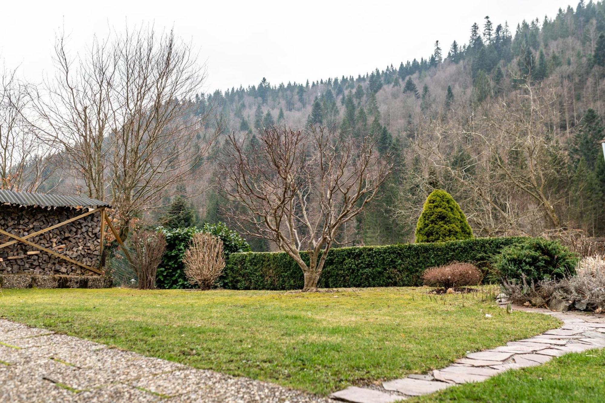 Apartmán Haus Akelei Todtmoos Exteriér fotografie