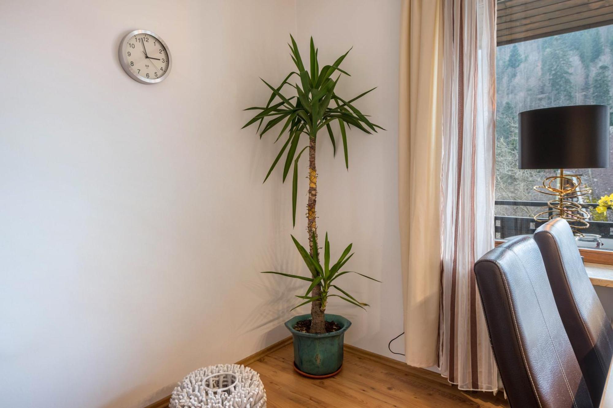 Apartmán Haus Akelei Todtmoos Exteriér fotografie